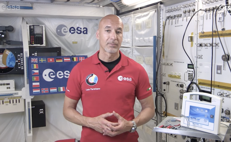 Luca Parmitano, astronaut